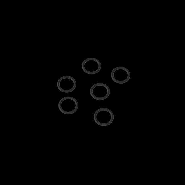 camouflet-convector-chamber-o-ringe-dichtringe-12er-pack image 1