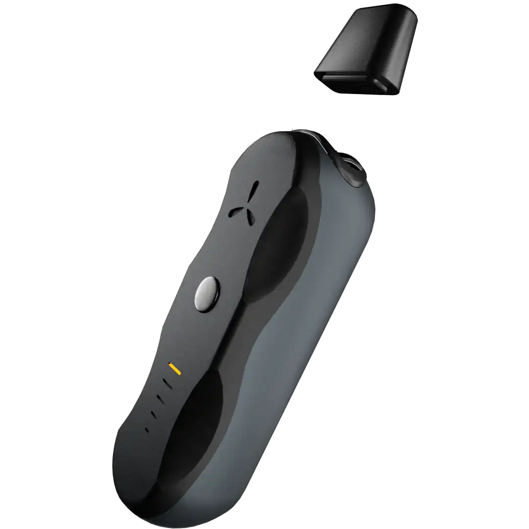airvape-xs-go-vaporizer-kr-uterverdampfer-trockenkr-uter-tragbar image 2